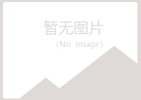 芦山县迎夏工程有限公司